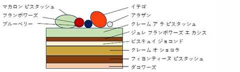 サパン ピスタッシュの断面図