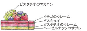 ノエルサヤフルール断面図
