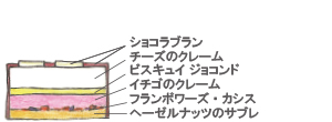 チーズケーク＆マカロン断面図