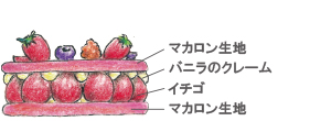 ノエルフレジエ断面図