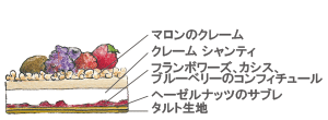 マロンフリュイルージュ断面図