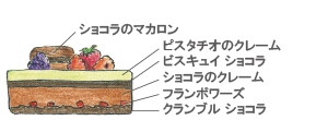 サパンショコラピスタッシュ断面図